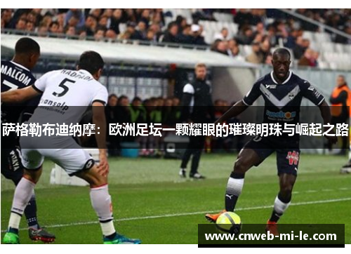 萨格勒布迪纳摩：欧洲足坛一颗耀眼的璀璨明珠与崛起之路