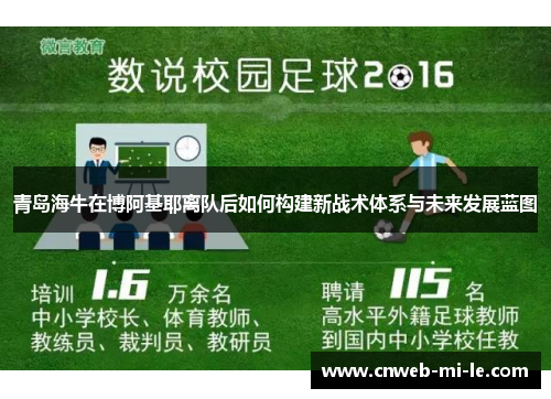 青岛海牛在博阿基耶离队后如何构建新战术体系与未来发展蓝图