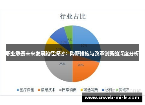 职业联赛未来发展路径探讨:降薪措施与改革创新的深度分析 职业联赛未来发展路径探讨:降薪措施与改革创新的深度分析