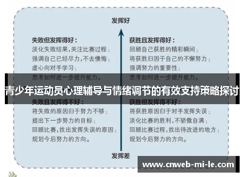 青少年运动员心理辅导与情绪调节的有效支持策略探讨