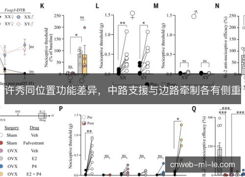 许秀同位置功能差异,中路支援与边路牵制各有侧重 许秀同位置功能差异,中路支援与边路牵制各有侧重